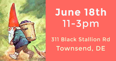 Gnome Fest Small Banner