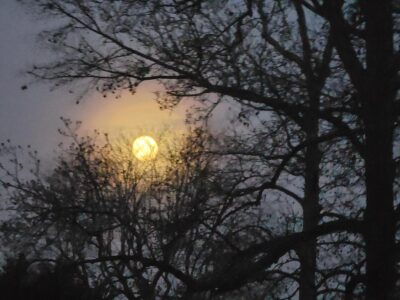 Moonset