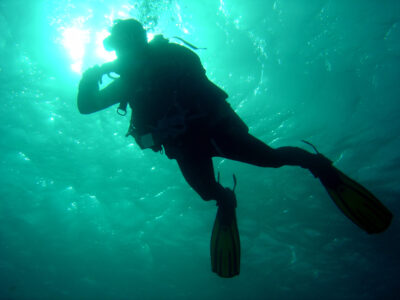 Scuba Diver