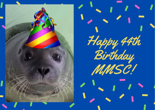 Happy Birthday MMSC!