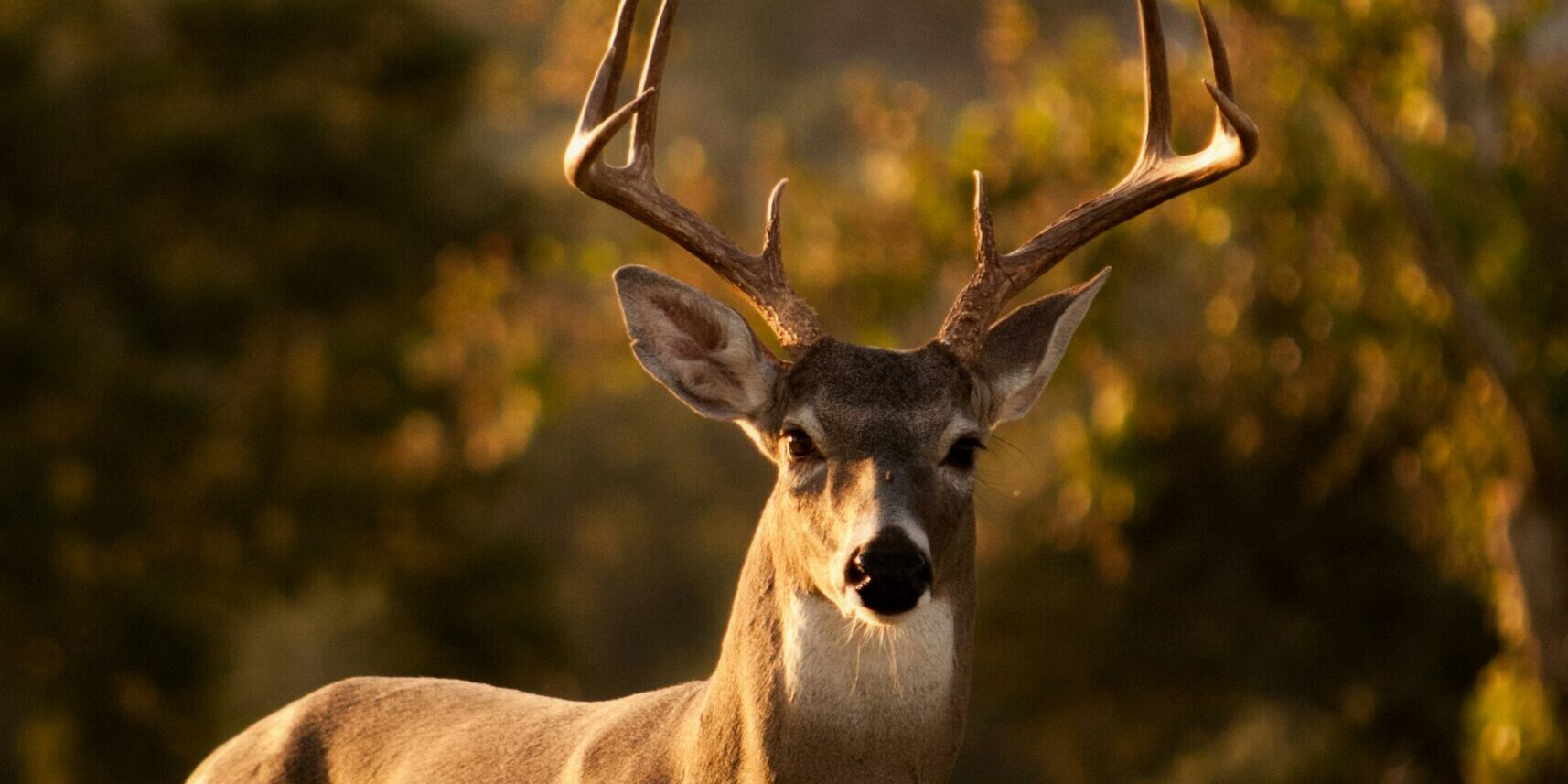 laura-college-K_Na5gCmh38-unsplash